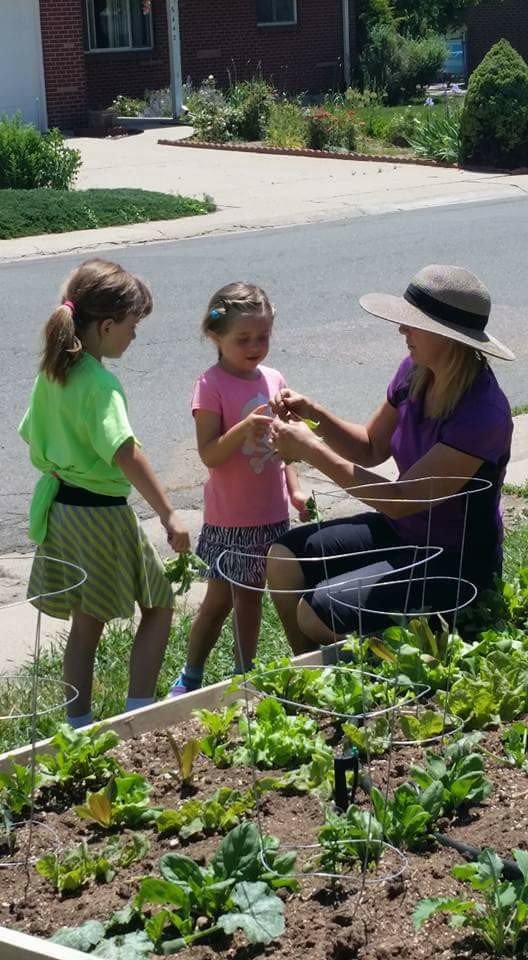 Give Healthy Food to 462 Colorado Families in Need