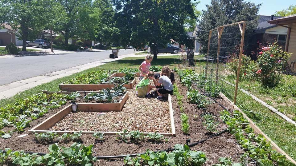 Give Healthy Food to 462 Colorado Families in Need