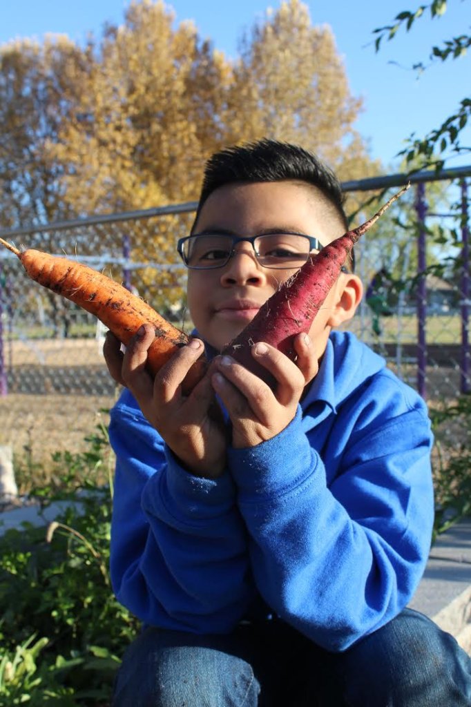 Give Healthy Food to 462 Colorado Families in Need