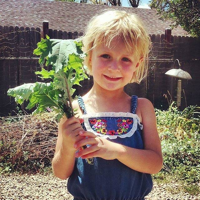 Give Healthy Food to 462 Colorado Families in Need