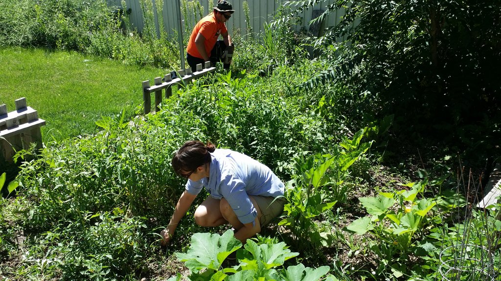 Give Healthy Food to 462 Colorado Families in Need