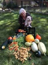 Fall Arvada Harvest 2016