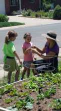 Youth Gardening