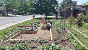 Kids Farm