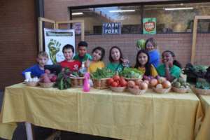 Give Healthy Food to 462 Colorado Families in Need