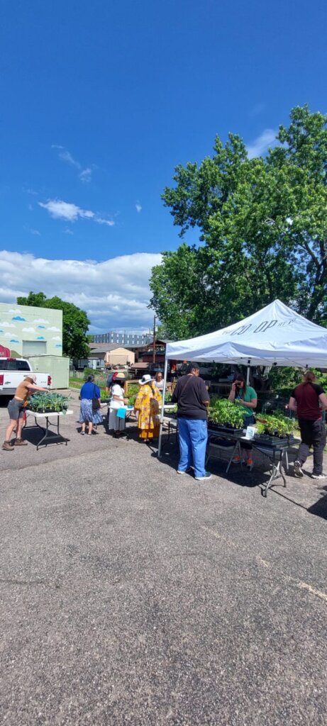 plant sale/giveaway