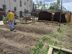 renovated garden beds