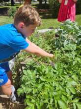 A gardener at work