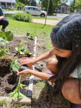 A gardener caring for and learning about plants