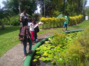 At the Botanical Gardens