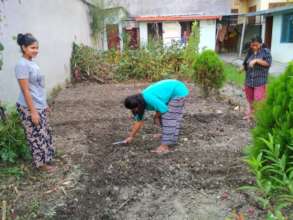Winter vegetables seed sown on our kitchen garden.