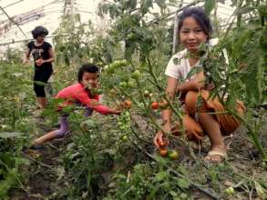 Children observing Jalpa vegetable farm.