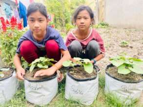 Roshani and Sabita happily showing their plants.