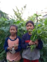 Happy on harvest from own garden