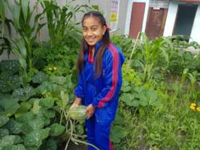 Saraswati, class-8 happy on pumpkin harvesting .