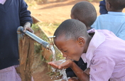 Empowering Rural Kenyans through Reforestation