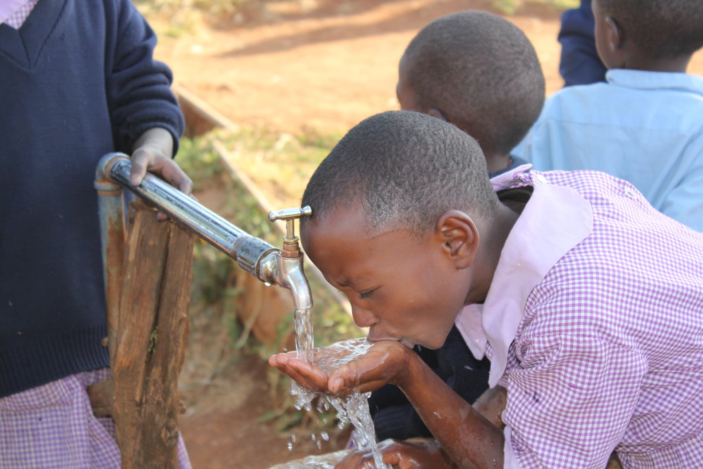 Empowering Rural Kenyans through Reforestation
