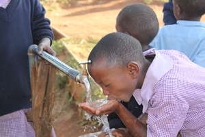Empowering Rural Kenyans through Reforestation