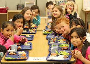 Ingredients for Healthy Schoolchildren