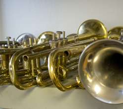 Old horns wait in line