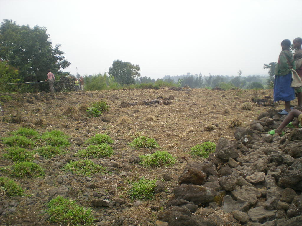 A site for a future rain-water catchment system.