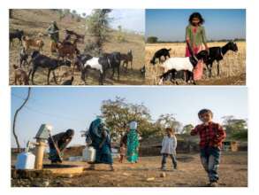 Livelihood