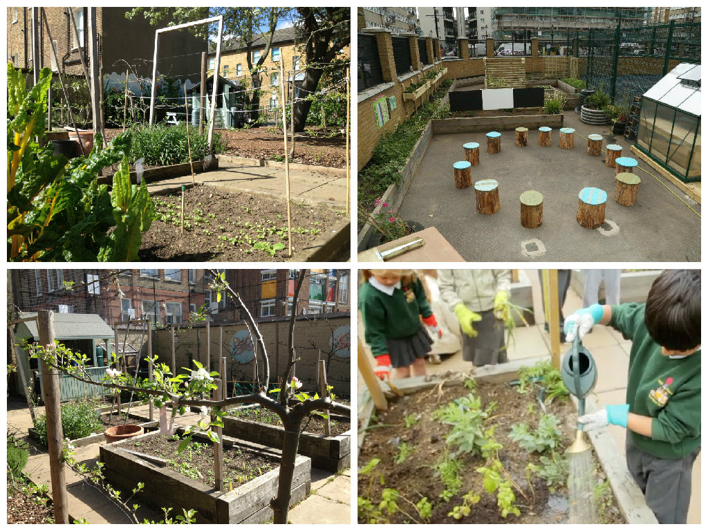 Reports on Trees for Cities' Edible Playgrounds GlobalGiving