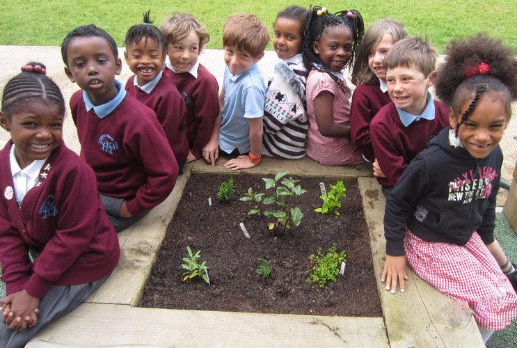 Trees for Cities' Edible Playgrounds GlobalGiving