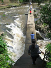 crossing a river to visit a coco-lumber plantation