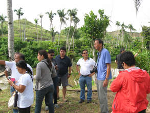 learning operations of a coco-lumber plantation