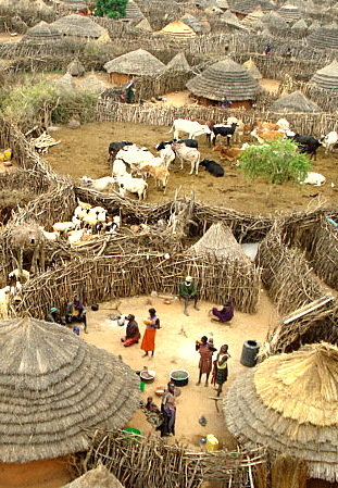 Buy a bag of maize - feed a Ugandan family forever