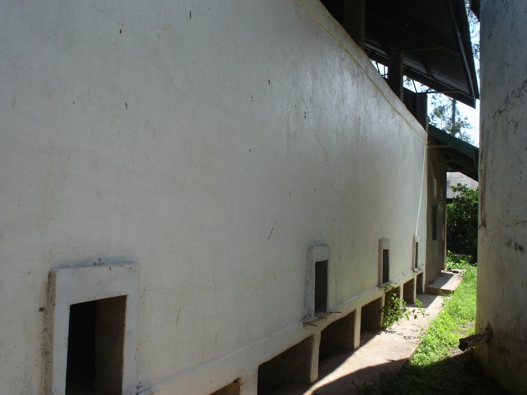 Buy a bag of maize - feed a Ugandan family forever