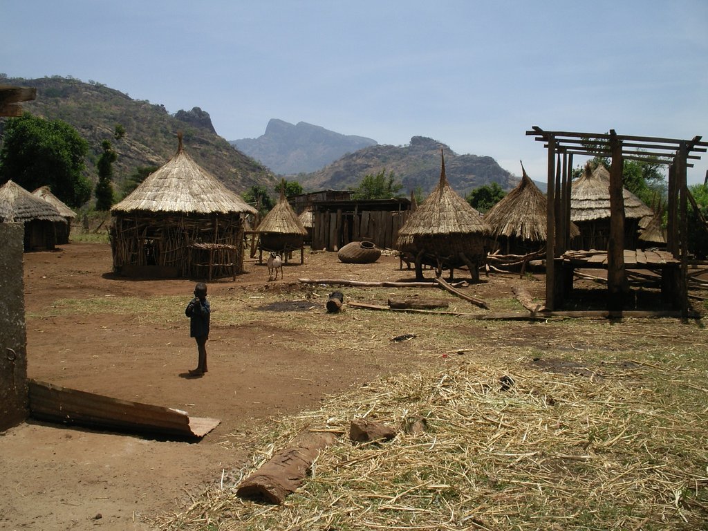 Buy a bag of maize - feed a Ugandan family forever