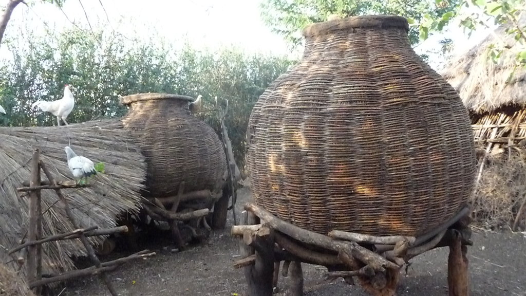 Buy a bag of maize - feed a Ugandan family forever