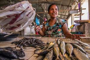 Casimira sells fish at a local market