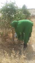 A pupil proudly tendering her tree