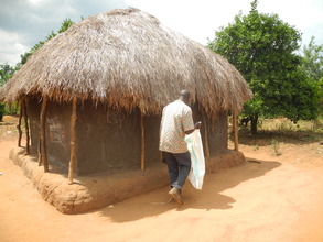Thatched roof house
