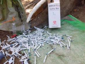 Needles everywhere.