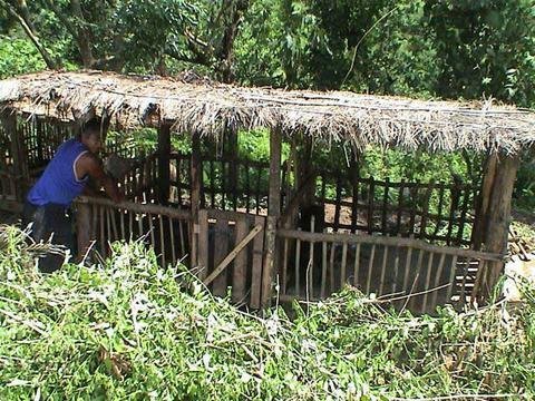 Khom Loy Sustainable Agriculture Project