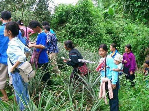 Khom Loy Sustainable Agriculture Project