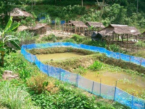 Khom Loy Sustainable Agriculture Project