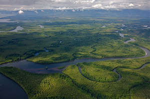 Terraba-Sierpe National Wetland
