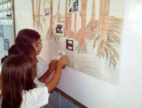 Mangrove trees are the best!