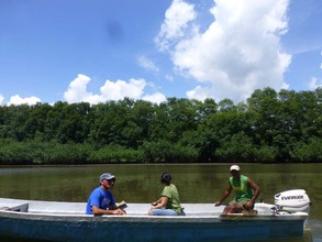 Field recognition of the Sierpe River
