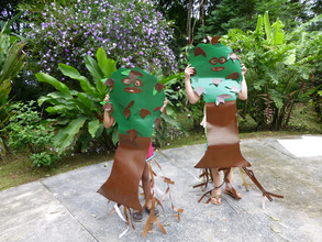 In the shoes of a mangrove tree!