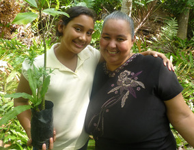 Planting mangroves!