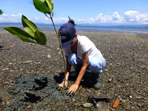 Milena, mangrove symbolic plantation.