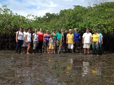 In the mangrove!