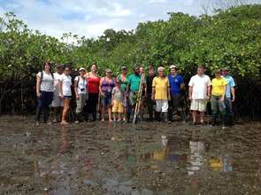 In the mangrove!