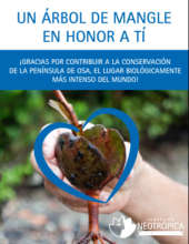 Tarjeta de regalo